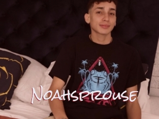 Noahsprouse