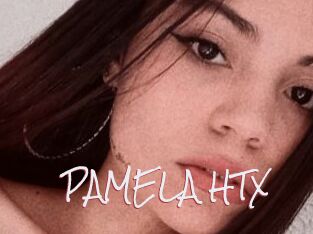 PAMELA_HTX