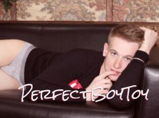 PerfectBoyToy