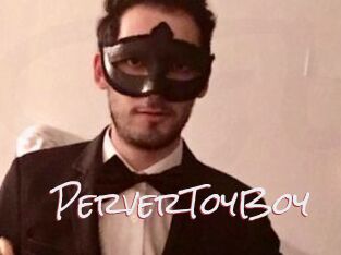 PerverToyBoy