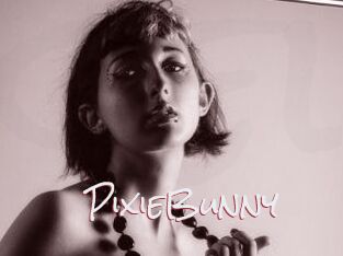 Pixie_Bunny
