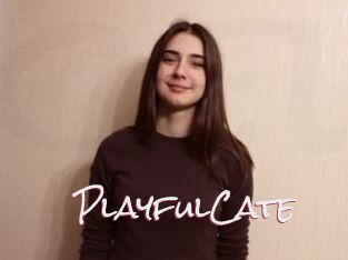 PlayfulCate