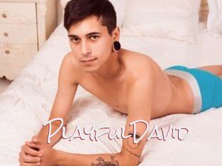 PlayfulDavid