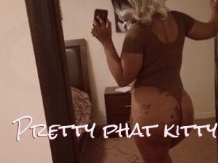 Pretty_phat_kitty