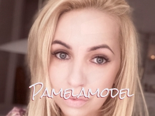 Pamelamodel