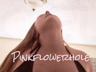 Pinkflowerhole