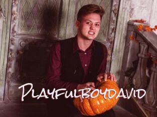 Playfulboydavid