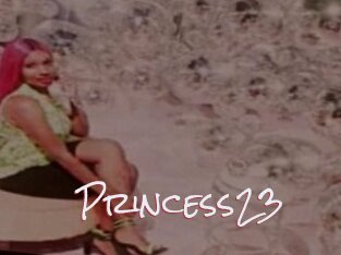 Princess23