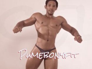 Pumebonyfit