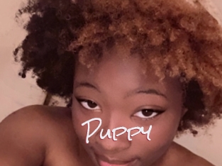 Puppy