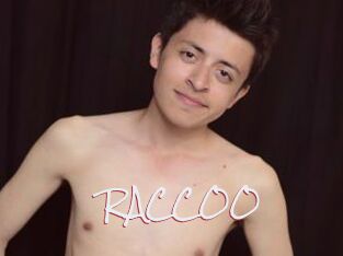 RACCOO