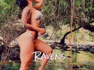 Ravens