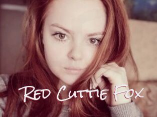 Red_Cuttie_Fox