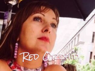 Red_Orchid