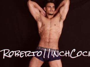 Roberto11inchCock