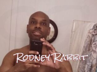 Rodney_Rabbit