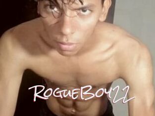 RogueBoy22