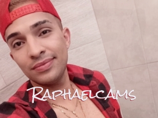 Raphaelcams