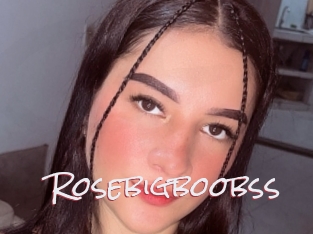 Rosebigboobss