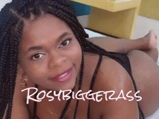 Rosybiggerass