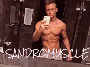 SANDRO_MUSCLE