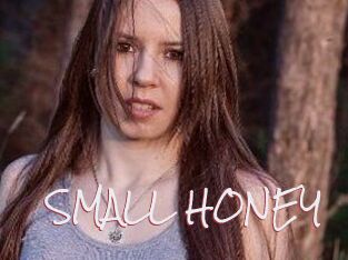 SMALL_HONEY