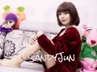 SandyJun