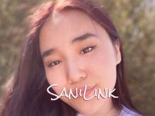 SaniLink