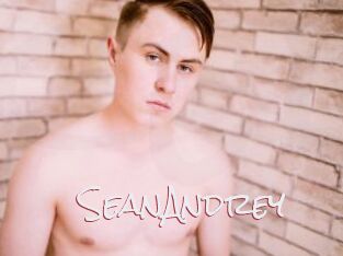 SeanAndrey