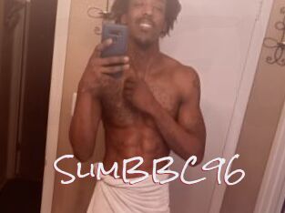 SlimBBC96