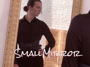 SmallMirror