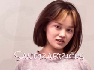 Sandrabricks