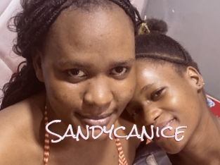 Sandycanice