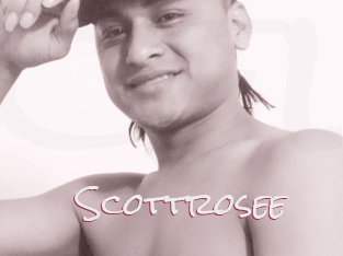 Scottrosee