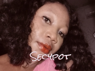 Secypot