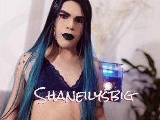 Shaneilysbig