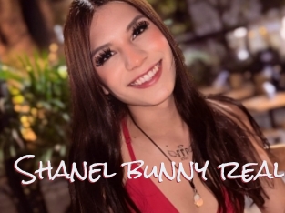 Shanel_bunny_real