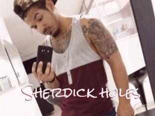 Sherdick_holes