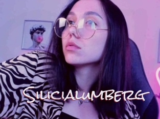 Silicialumberg