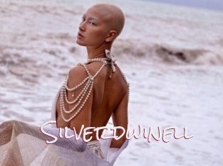 Silverdwinell