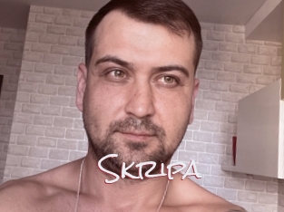 Skripa