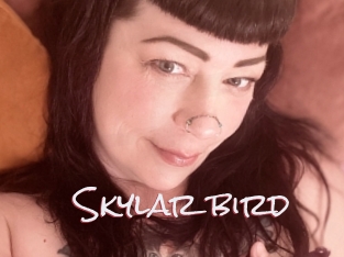 Skylar_bird