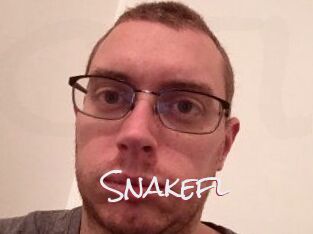 Snakefl