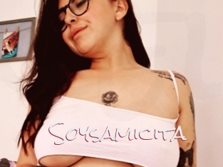 Soysamicita