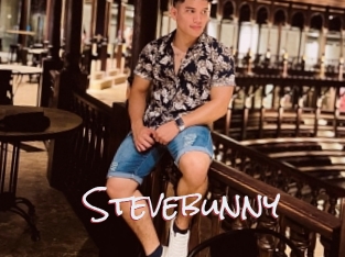 Stevebunny