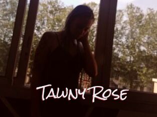 Tawny_Rose