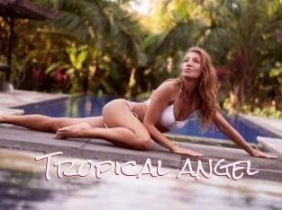 Tropical_angel