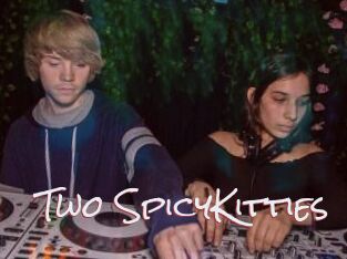Two_SpicyKitties