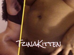 TzinaKitten