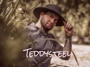 Teddysteel